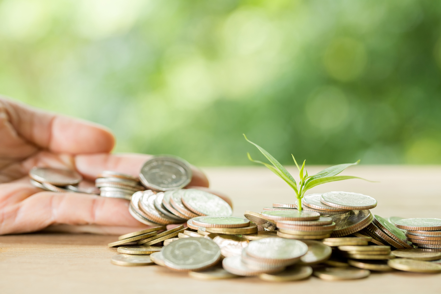 Planting trees on a coin pile with sunlight